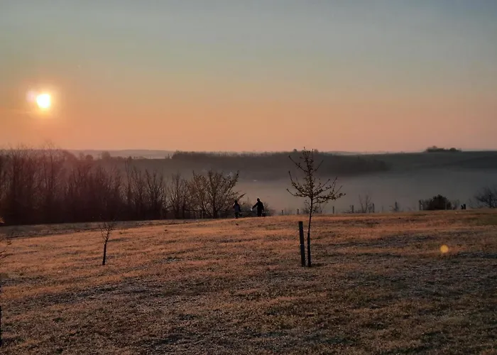 ホテル Ursa Major Ságvár